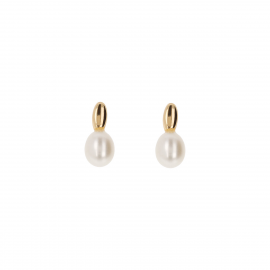 Arioldi Orecchini Perla Oro